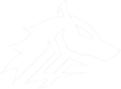 Team 2 Logo
